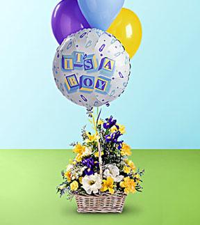 The FTD? Baby Boy Bouquet with Balloons