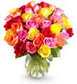 36 Stem Mixed Sweet Rose Bouquet with Vase